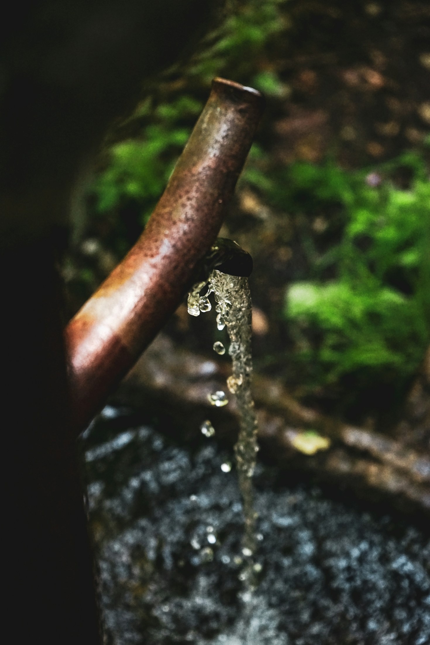 10 Ways Charity Brings Communities Together
